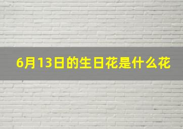 6月13日的生日花是什么花