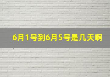 6月1号到6月5号是几天啊