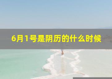 6月1号是阴历的什么时候