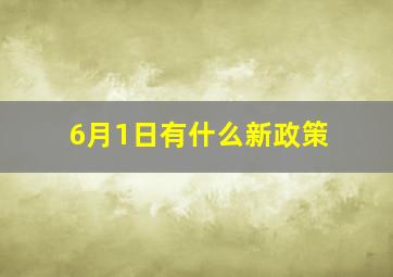 6月1日有什么新政策