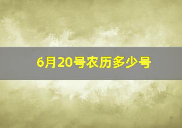 6月20号农历多少号