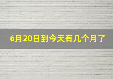 6月20日到今天有几个月了