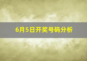 6月5日开奖号码分析