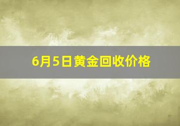 6月5日黄金回收价格