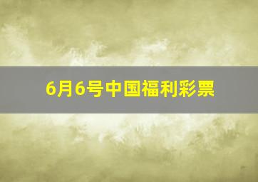 6月6号中国福利彩票