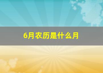 6月农历是什么月