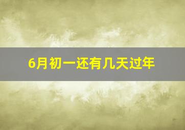 6月初一还有几天过年