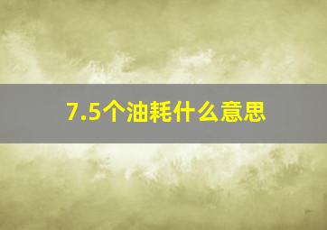 7.5个油耗什么意思