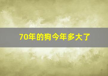 70年的狗今年多大了