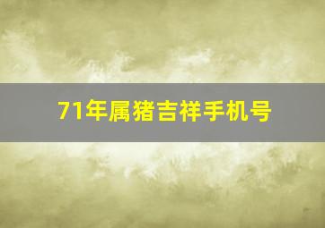 71年属猪吉祥手机号