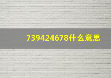 739424678什么意思