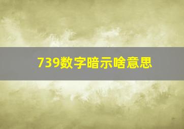 739数字暗示啥意思