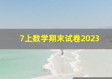 7上数学期末试卷2023