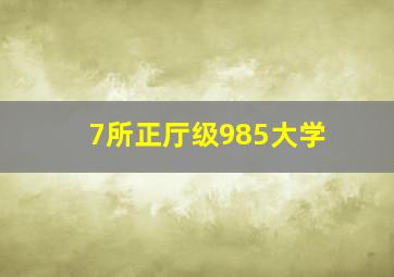 7所正厅级985大学