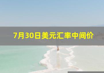 7月30日美元汇率中间价