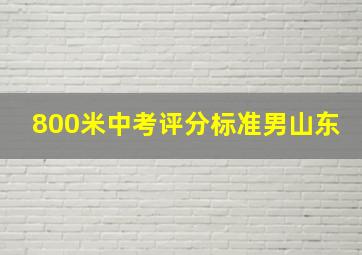 800米中考评分标准男山东