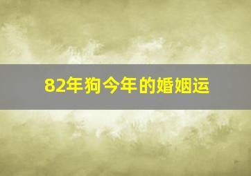 82年狗今年的婚姻运