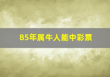 85年属牛人能中彩票