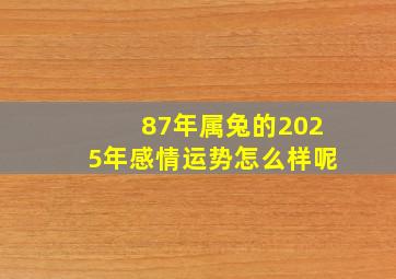 87年属兔的2025年感情运势怎么样呢