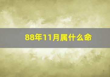 88年11月属什么命