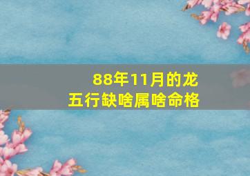 88年11月的龙五行缺啥属啥命格