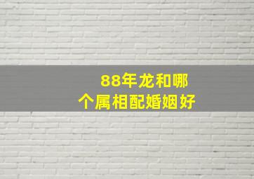 88年龙和哪个属相配婚姻好