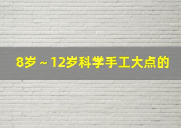 8岁～12岁科学手工大点的