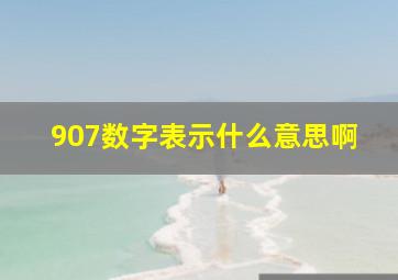 907数字表示什么意思啊