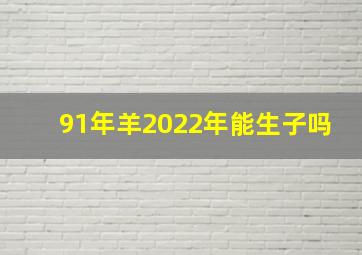 91年羊2022年能生子吗