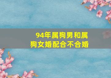 94年属狗男和属狗女婚配合不合婚