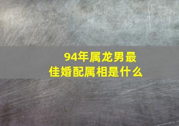 94年属龙男最佳婚配属相是什么