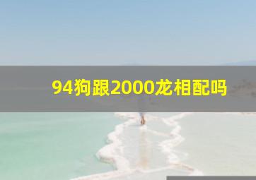 94狗跟2000龙相配吗