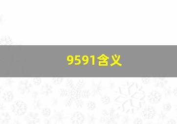 9591含义