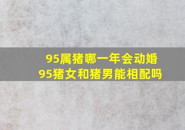 95属猪哪一年会动婚95猪女和猪男能相配吗