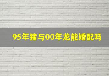 95年猪与00年龙能婚配吗