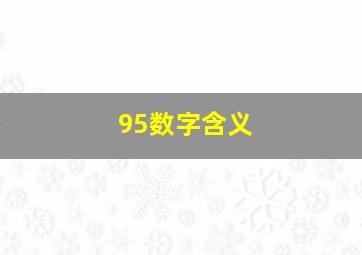 95数字含义