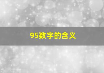 95数字的含义