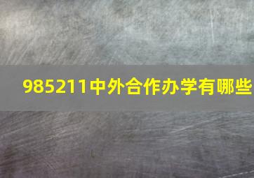 985211中外合作办学有哪些