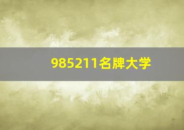 985211名牌大学