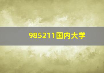 985211国内大学