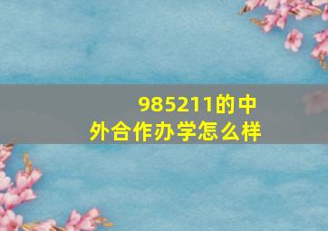 985211的中外合作办学怎么样