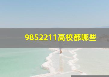 9852211高校都哪些