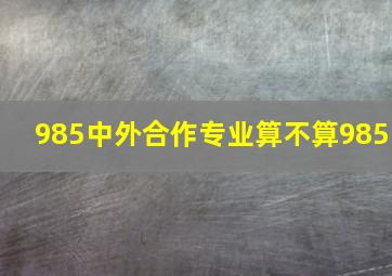 985中外合作专业算不算985