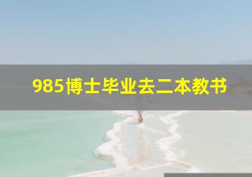 985博士毕业去二本教书