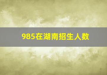 985在湖南招生人数