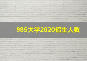 985大学2020招生人数