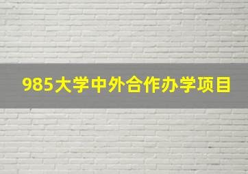 985大学中外合作办学项目