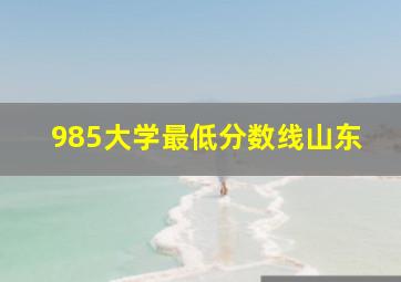 985大学最低分数线山东