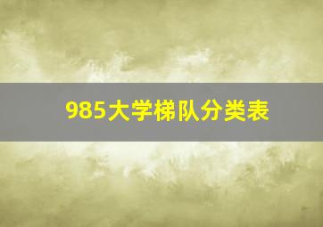 985大学梯队分类表