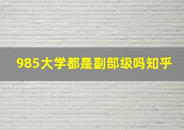 985大学都是副部级吗知乎